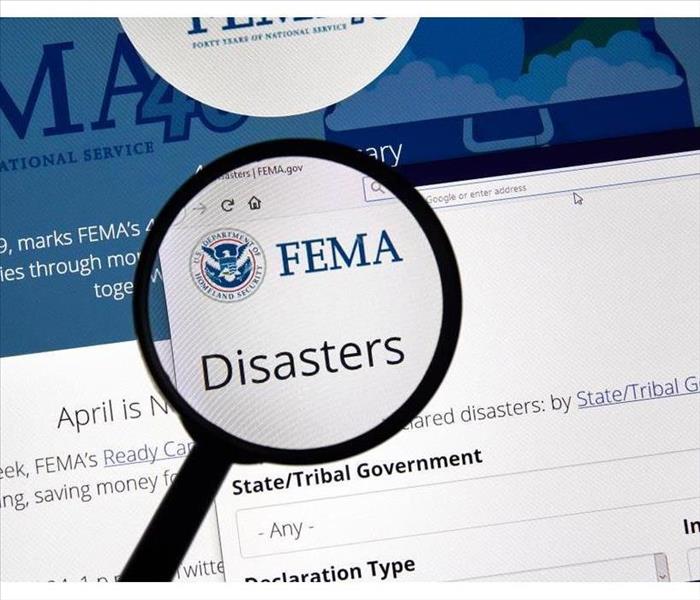 FEMA app in App Store. Close-up on the laptop screen.