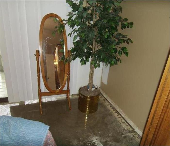 Standing water inside a room, beside there is a mirror and a plant